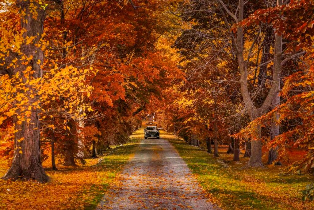 Best Day Trips from Toronto for 2025: Top 24 Escapes